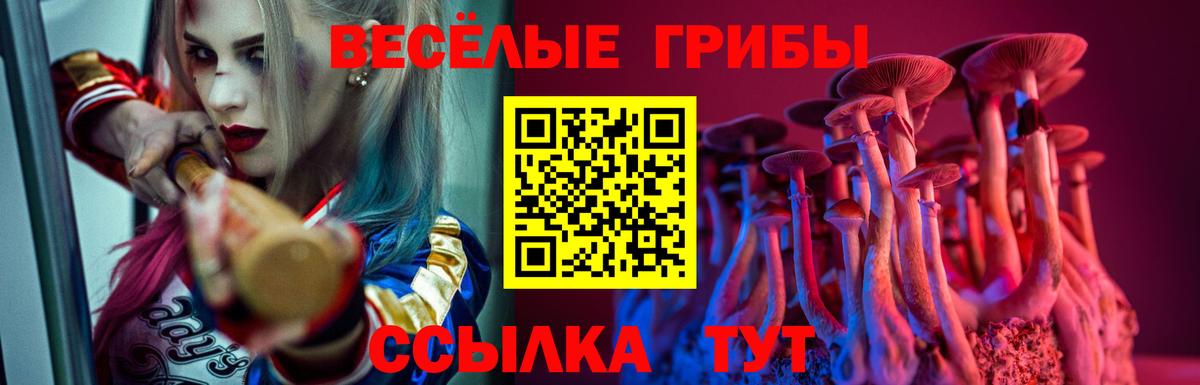 Галлюциногенные грибы мицелий  Вход с VPN  Петрозаводск 